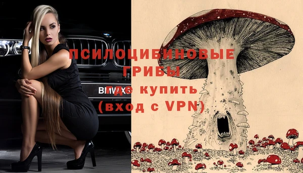 дурь Алексин
