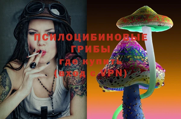 mdpv Алзамай
