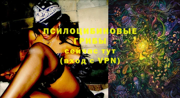 дурь Алексин
